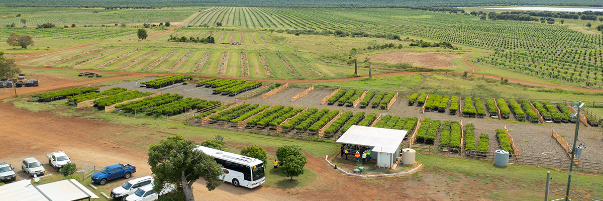 An aerial shot of a large bus parked in front of rows of planted crops